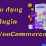 hướng dẫn sử dụng plugin woocommerce