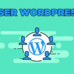 user wordpress là gì? cách tạo và phân quyền user trong wordpress