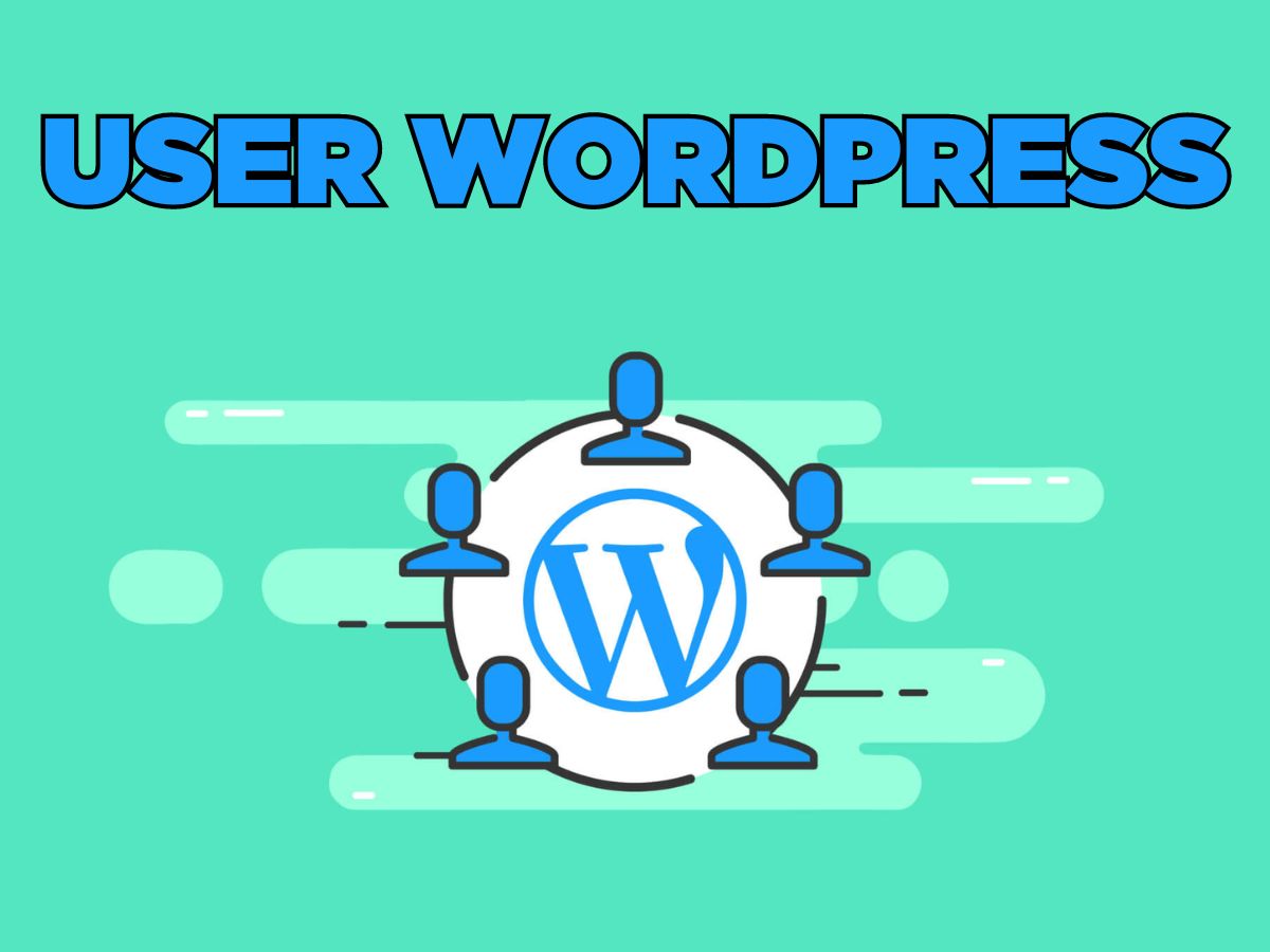 user wordpress là gì? cách tạo và phân quyền user trong wordpress